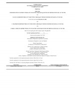 Click here to view Borqs Technologies, Inc. 2023 Form 20-F