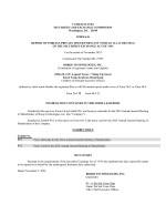 Click here to view Borqs Technologies, Inc. 2024 Proxy Statement